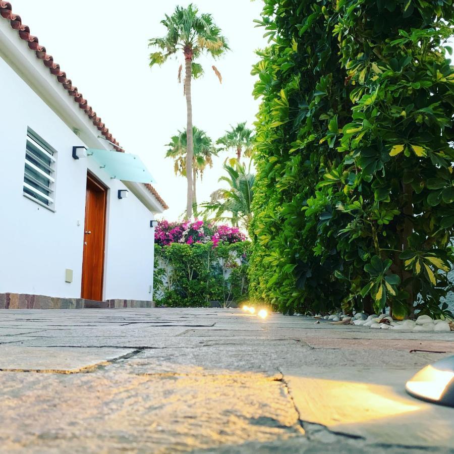 Villa Calma Luxury Villa 마스팔로마스 외부 사진